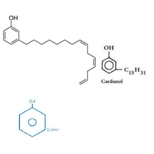 腰果酚分子式