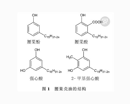 腰果壳油